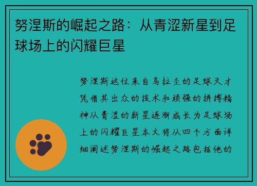 努涅斯的崛起之路：从青涩新星到足球场上的闪耀巨星