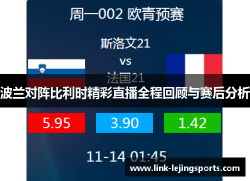 波兰对阵比利时精彩直播全程回顾与赛后分析
